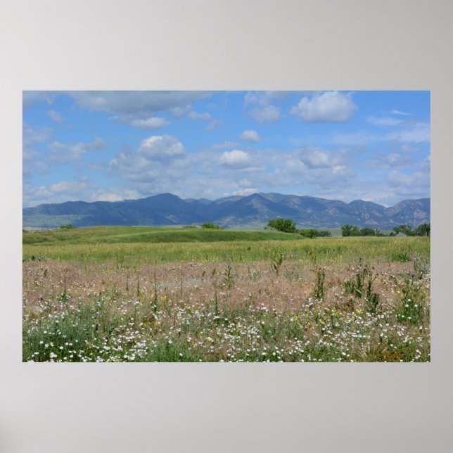 Poster Paisagem Summer Colorado (Frente)