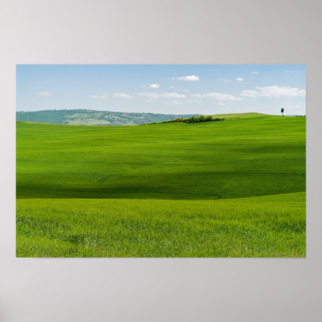 Poster Paisagem Toscana Típica (Frente)