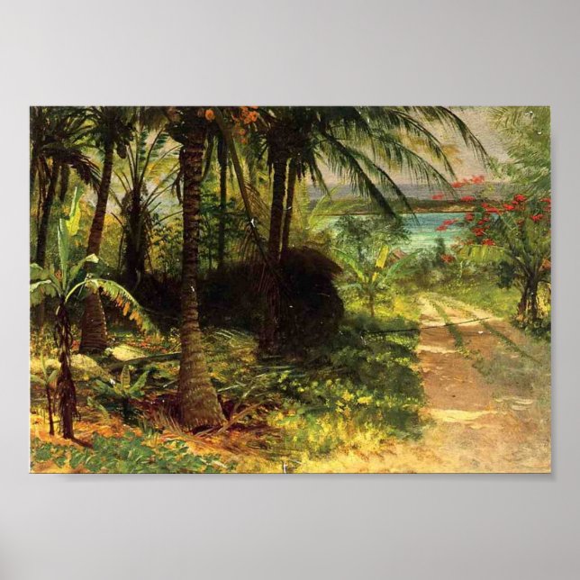 Poster Paisagem tropical (Frente)