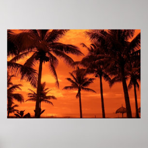 Poster Paisagem Tropical Sunset Summer Design Palm Tres