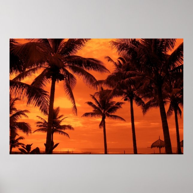 Poster Paisagem Tropical Sunset Summer Design Palm Tres (Frente)