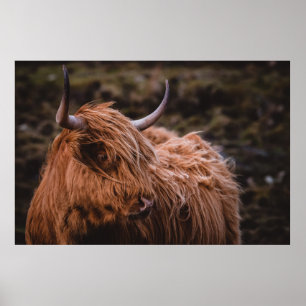 POSTER PAISAGENS DRAMÁTICAS E MOÓDICAS INSPIRADAS PELA NA