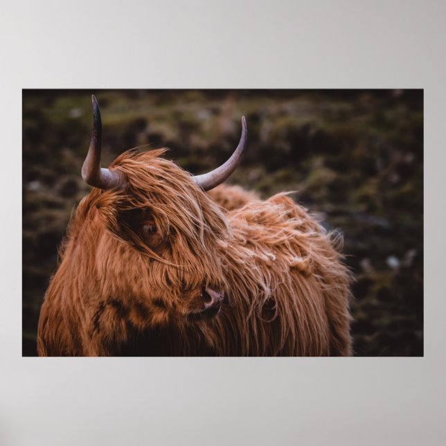 POSTER PAISAGENS DRAMÁTICAS E MOÓDICAS INSPIRADAS PELA NA (Frente)