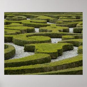 Pôster Países Baixos (também conhecidos por Holanda), A