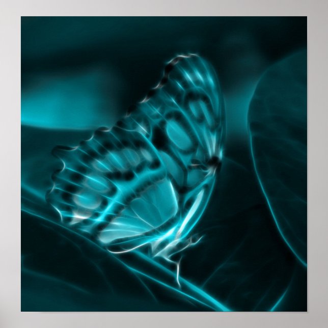 Pôster Paixão da meia-noite (Frente)