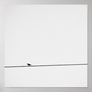 Pôster Pájaro posado en blanco y negro