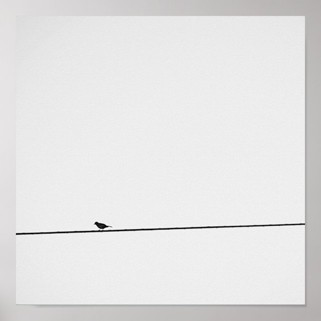Pôster Pájaro posado en blanco y negro (Frente)