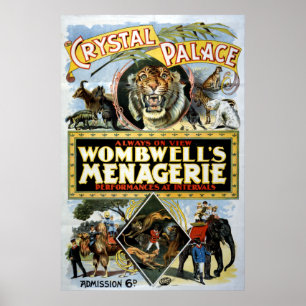 Poster Palácio de cristal da mistura variada de Wombwell