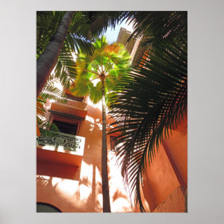 Poster Palácio Rosa