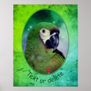 Poster Palavras Personalizadas Severas do Macaw
