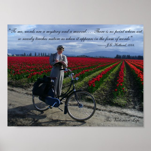 Poster Palavras são maravilhosas — citação escrevendo vit (Frente)