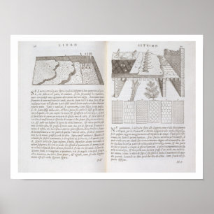 Pôster Palcos e métodos de colocar assoalhos, 'de Della 