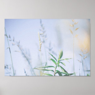 Poster Pale Pastel Green Grass Céu de Prado Verde