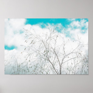 Poster Pale Pastel Leve Blue Turquoise Tree Brunes Sky