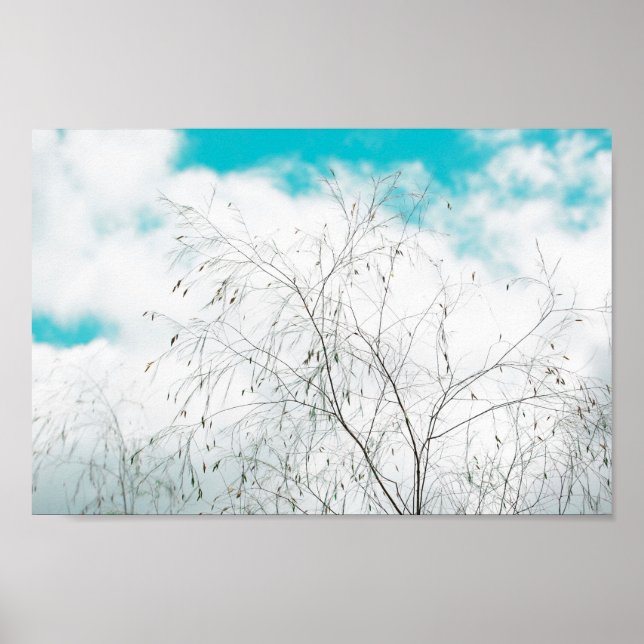Poster Pale Pastel Leve Blue Turquoise Tree Brunes Sky (Frente)