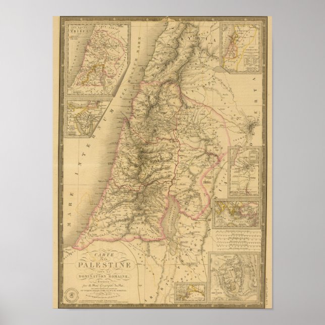 Pôster Palestina (Frente)