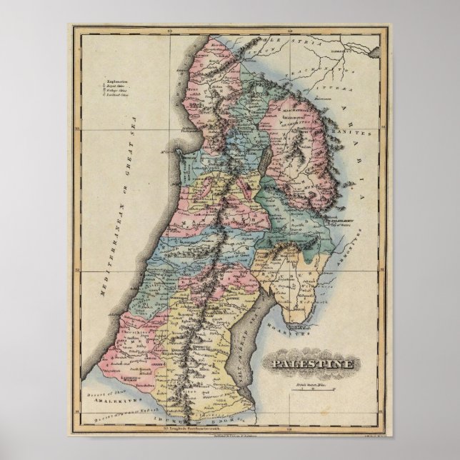 Poster Palestina 2 (Frente)