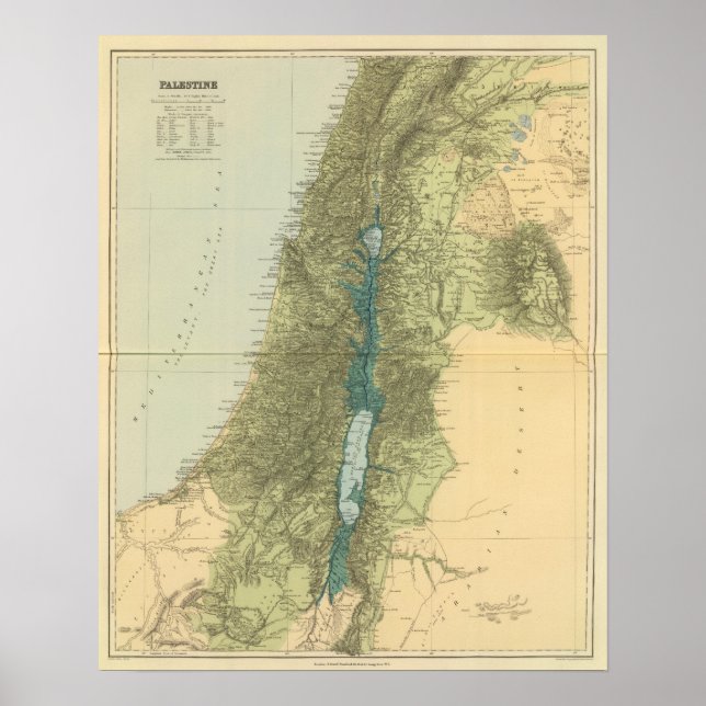 Pôster Palestina 3 (Frente)