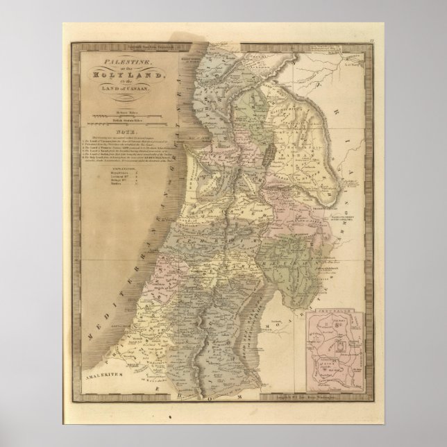 Pôster Palestina 5 (Frente)