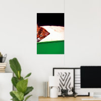 PALESTINA GRATUITA Cat.