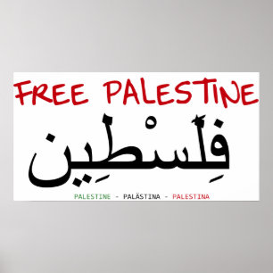 Pôster Palestina livre