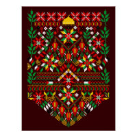 Palestina Tatreez Embroderia Tradicional