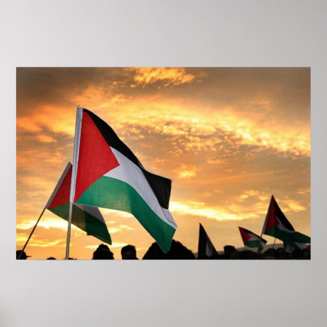 Poster Palestine Flag View (Frente)