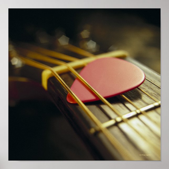 Poster Paleta de Violão (Frente)