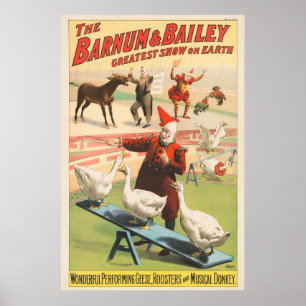 Poster Palhaços Com Geese, Roosters E Donkey.