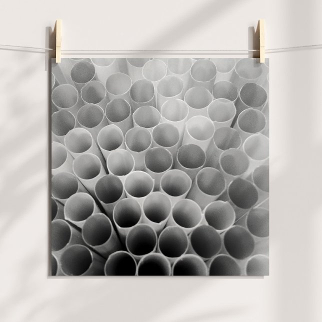 Poster Palhinhas Flexíveis Pretas e Brancas (Black and White Bendy Straws Poster)