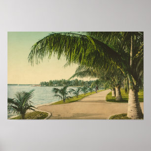 Poster Palm Beach, 1898, cena da Flórida