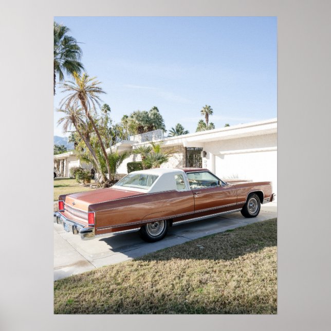 Poster Palm Primavera California - Vintage Views (Frente)