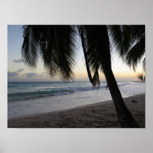 Poster Palm Sunset Barbados
