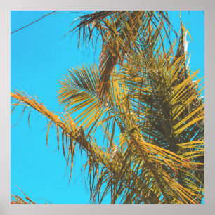 Poster Palm Tree Deixa Turquoise Sky