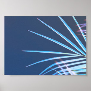 Poster Palm Tree deixa um esboço de minimalismo