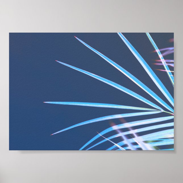 Poster Palm Tree deixa um esboço de minimalismo (Frente)