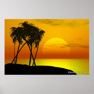 Pôster Palm Tree e Sunset