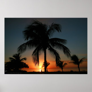Poster Palm Tree Sunset