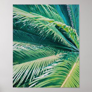 Poster Palm Tree Tropical Beach PhotoImpressão