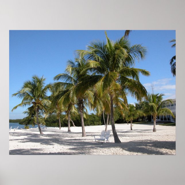 Poster Palm Trees and Beach Print (Frente)