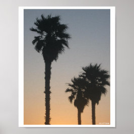 Poster Palm Trees At Sunset
