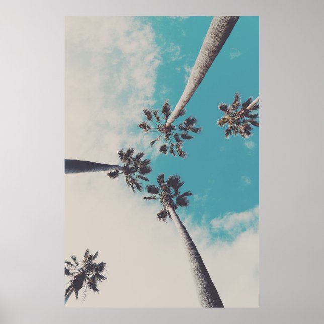 Poster Palm Trees contra uma Foto Turquesa Sky (Frente)