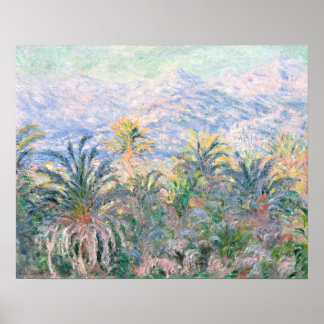 Poster Palm Trees em Bordighera (1884) apresentada por Cl