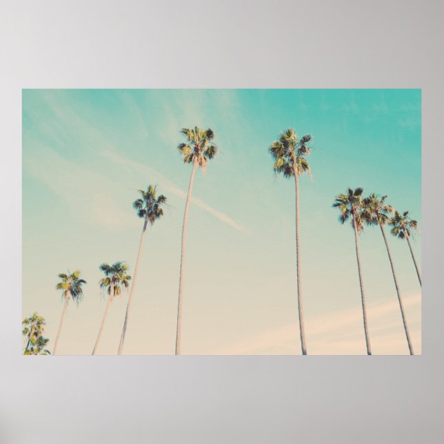 Poster Palm Trees na Foto do Vento (Frente)