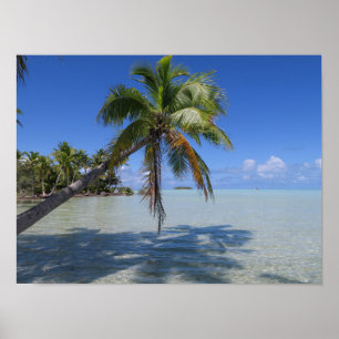 Poster Palm Tropical de Rangiroa Blue Lagoon