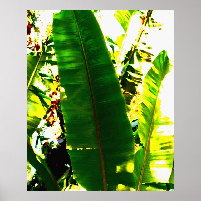 Pôster Palm Watercolor (Frente)