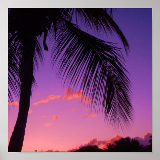 Pôster palma da safira