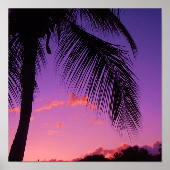 Pôster palma da safira (Frente)