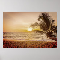 Palma de Coco Sunset na Praia