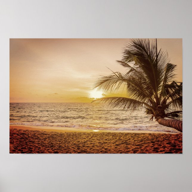 Poster Palma de Coco Sunset na Praia (Frente)